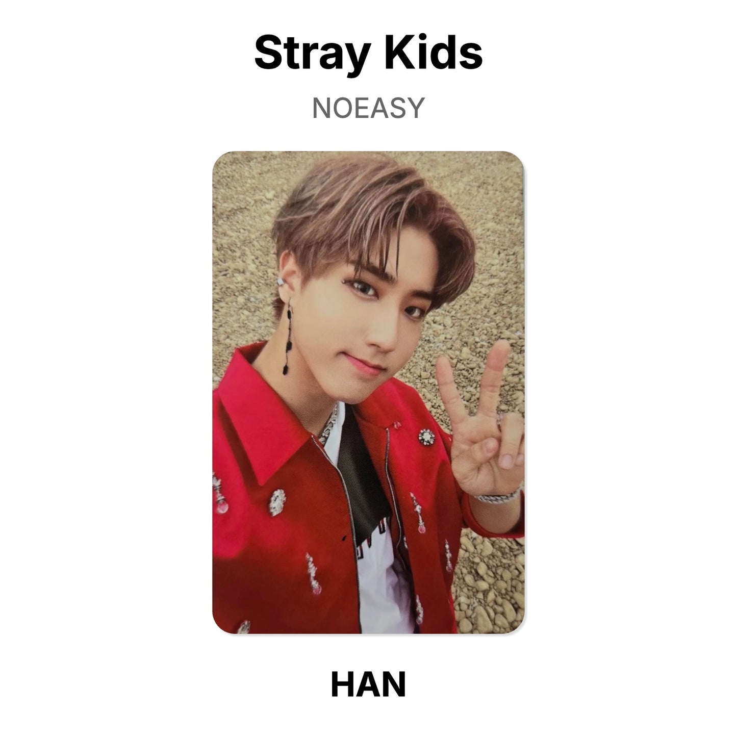 Stray Kids NOEASY photocard oficial