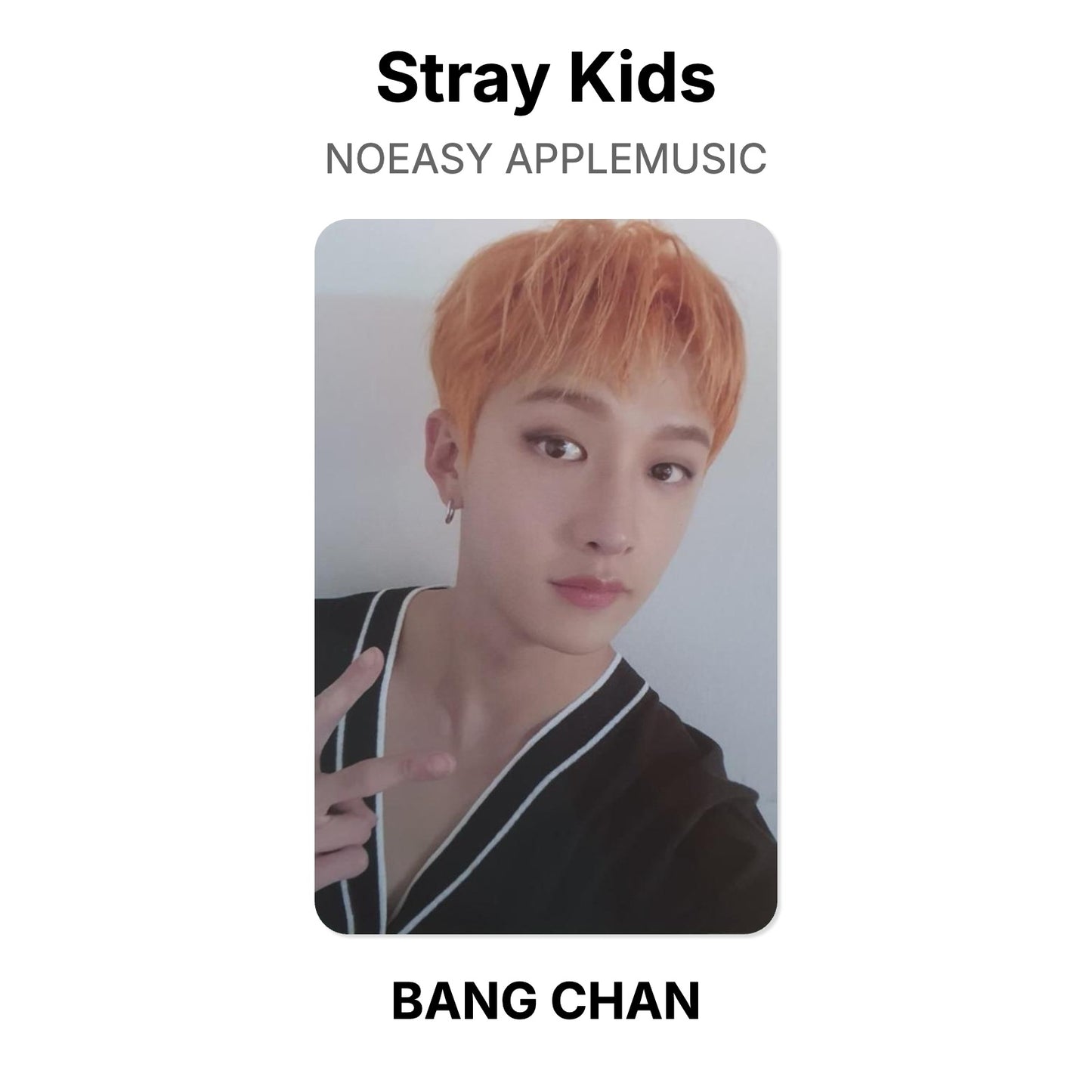 Stray Kids NOEASY APPLEMUSIC Official Photocard