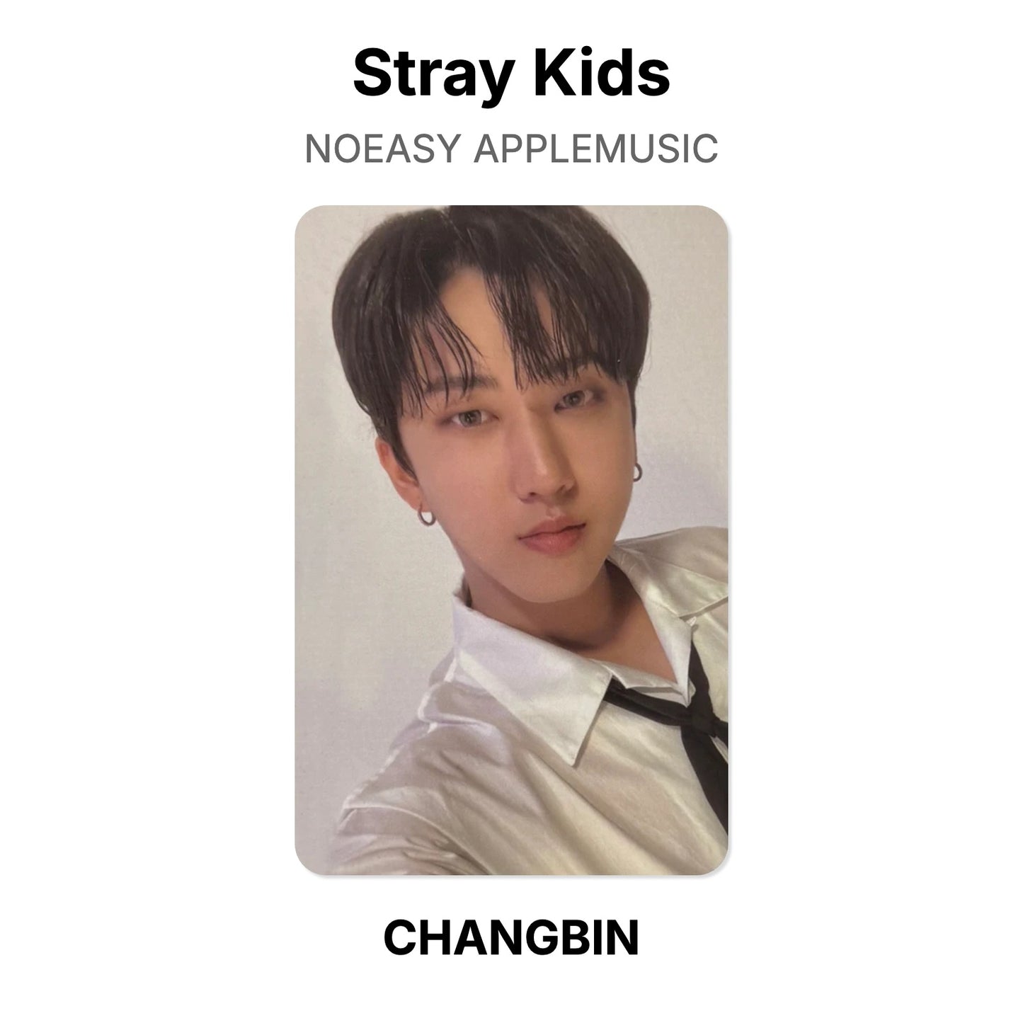 Stray Kids NOEASY APPLEMUSIC Official Photocard