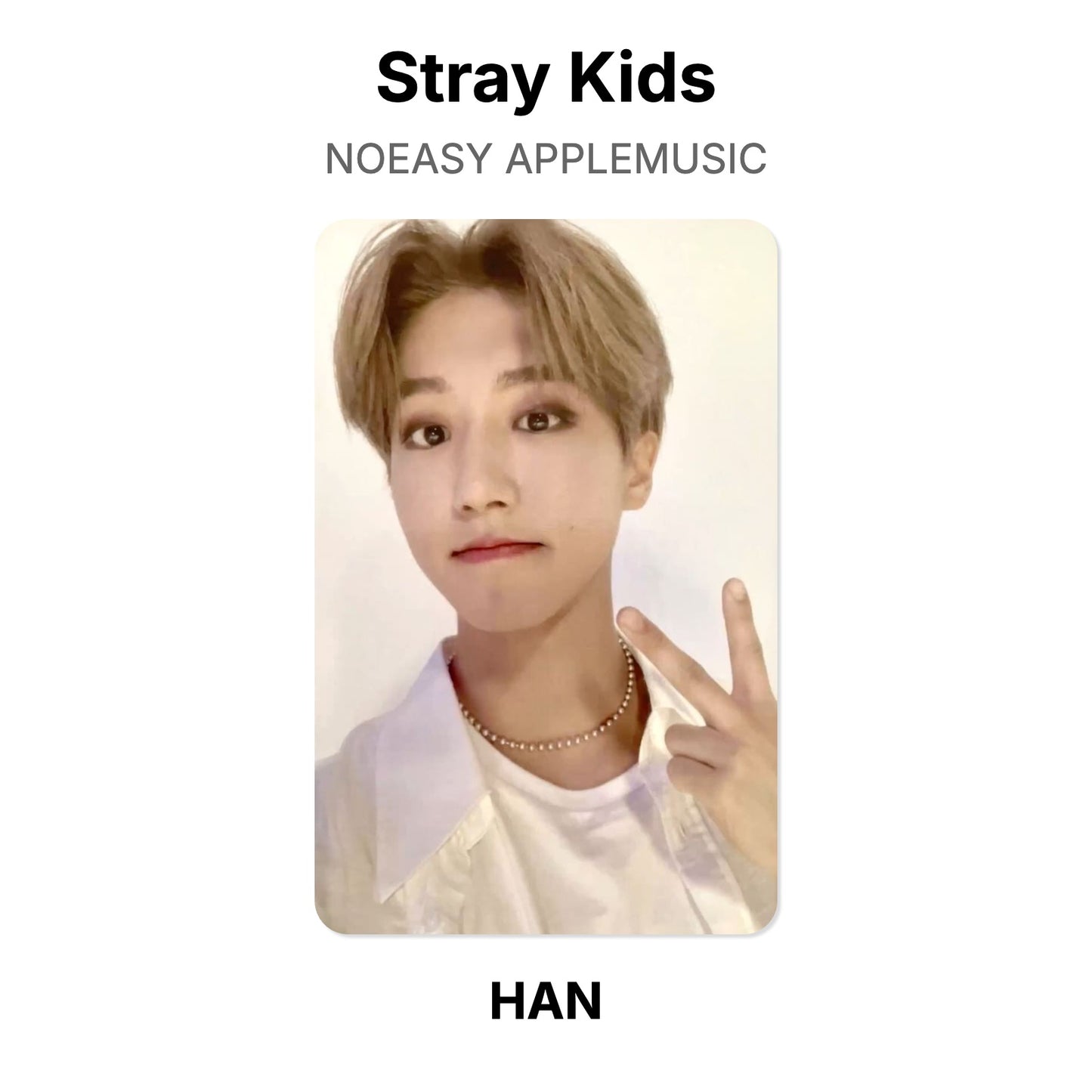 Stray Kids NOEASY APPLEMUSIC Official Photocard