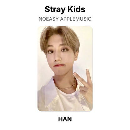 Stray Kids NOEASY APPLEMUSIC Official Photocard