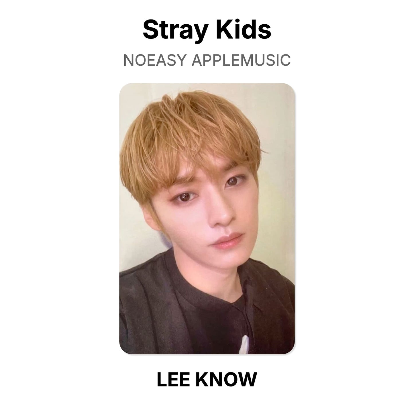 Stray Kids NOEASY APPLEMUSIC Official Photocard