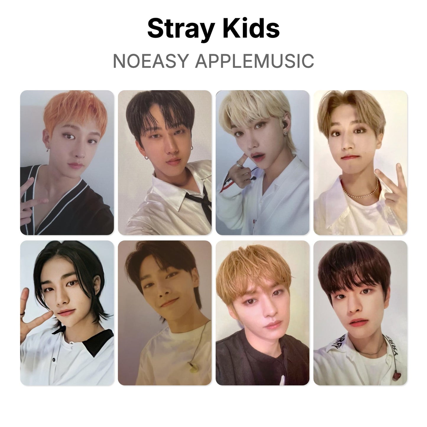 Stray Kids NOEASY APPLEMUSIC Official Photocard