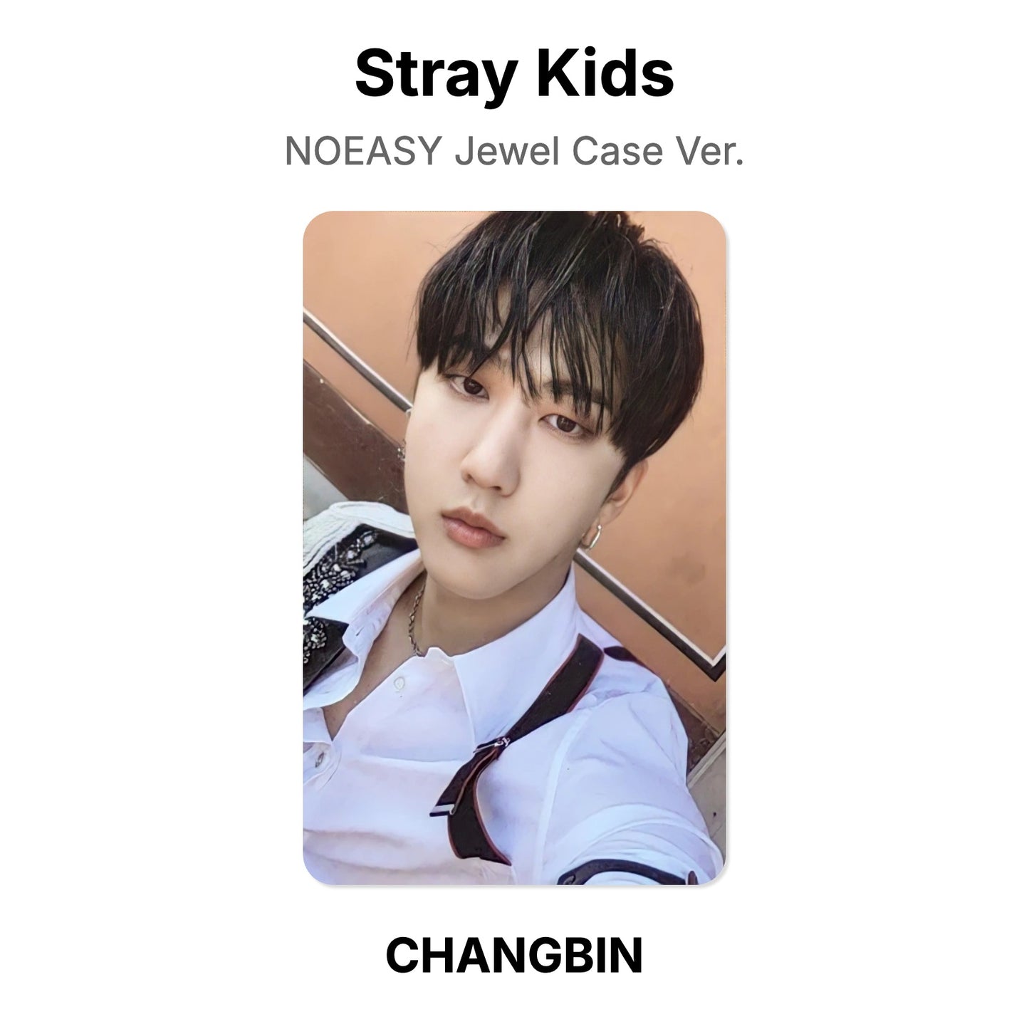 Stray Kids NOEASY Jewel Case Ver. photocard oficial