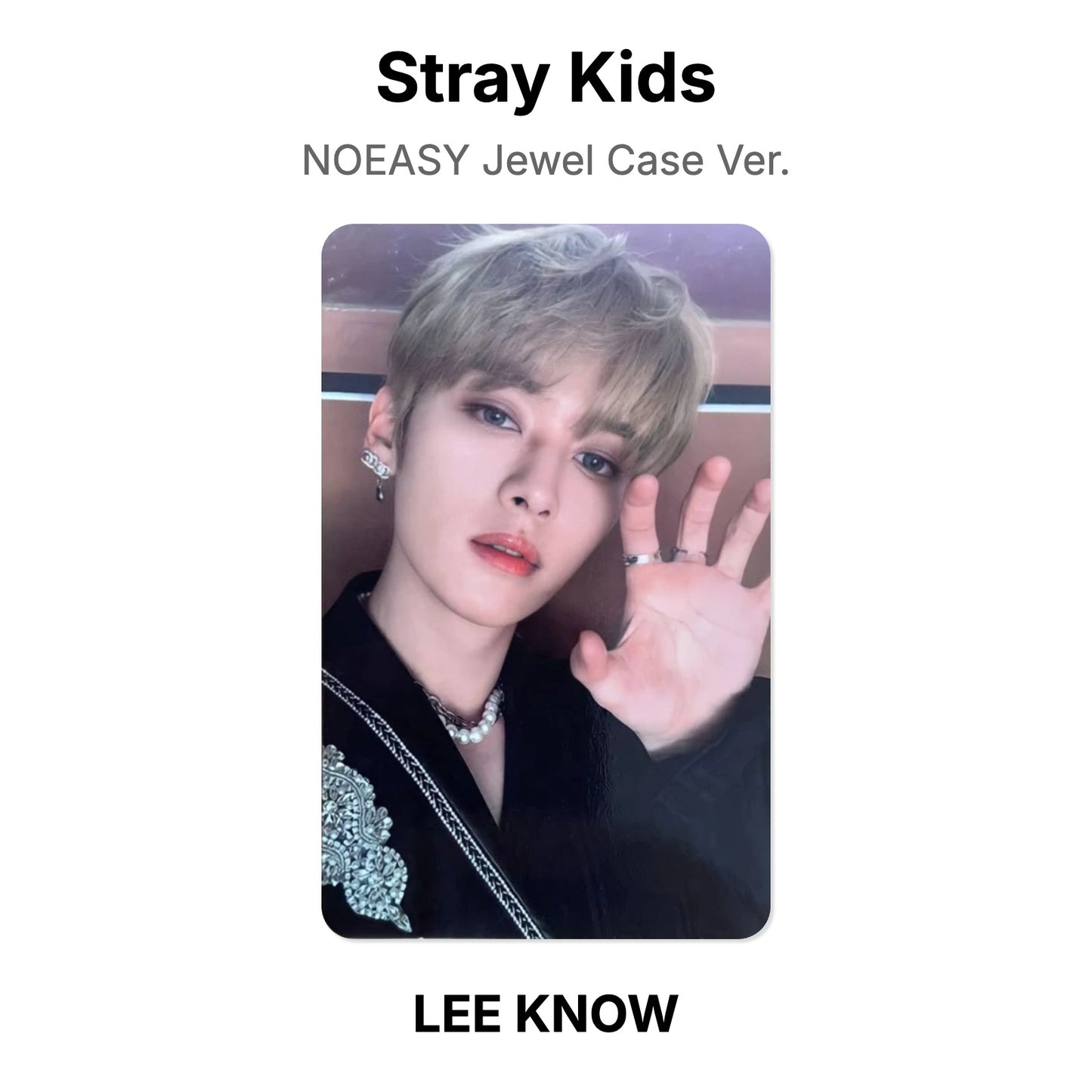 Stray Kids NOEASY Jewel Case Ver. photocard oficial