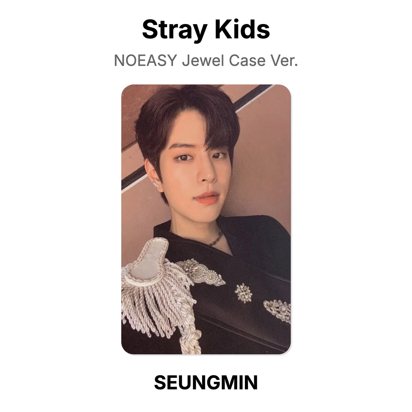 Stray Kids NOEASY Jewel Case Ver. photocard oficial