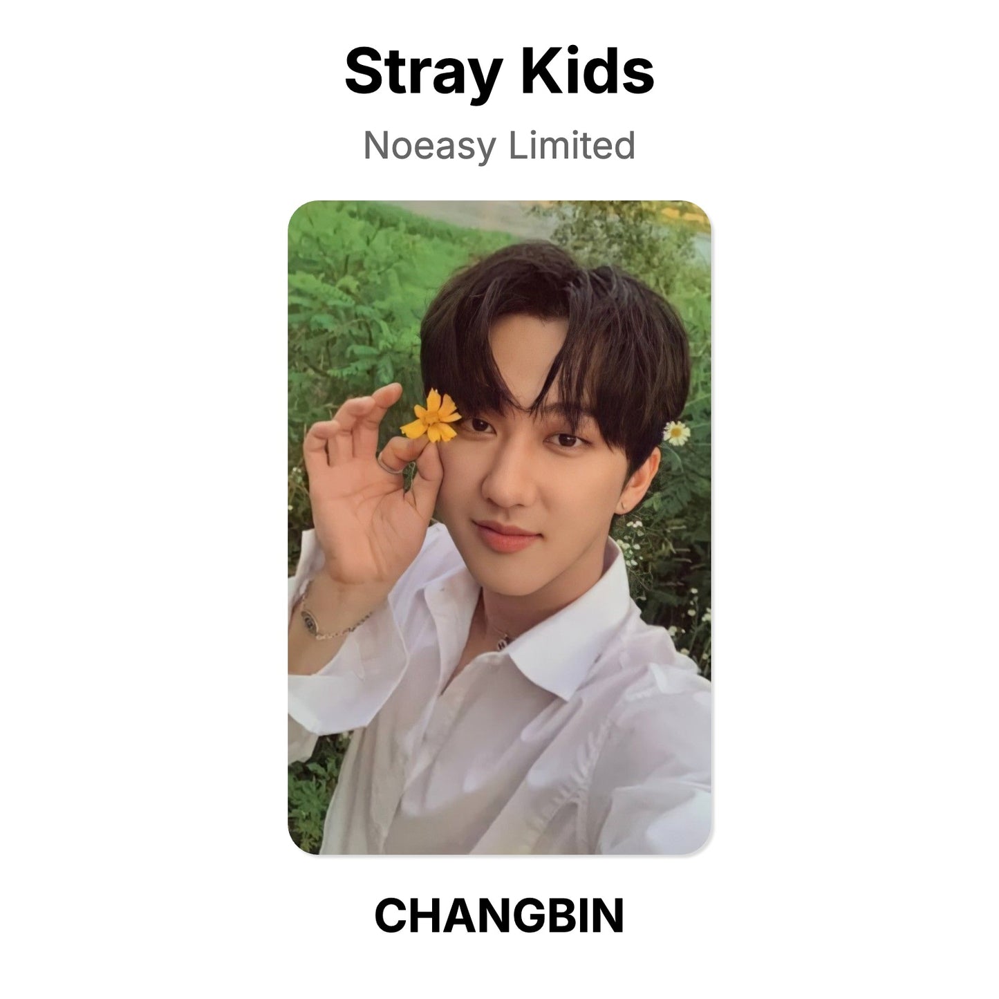Stray Kids Noeasy Limited photocard ufficiale