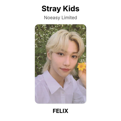 Stray Kids Noeasy Limited photocard ufficiale