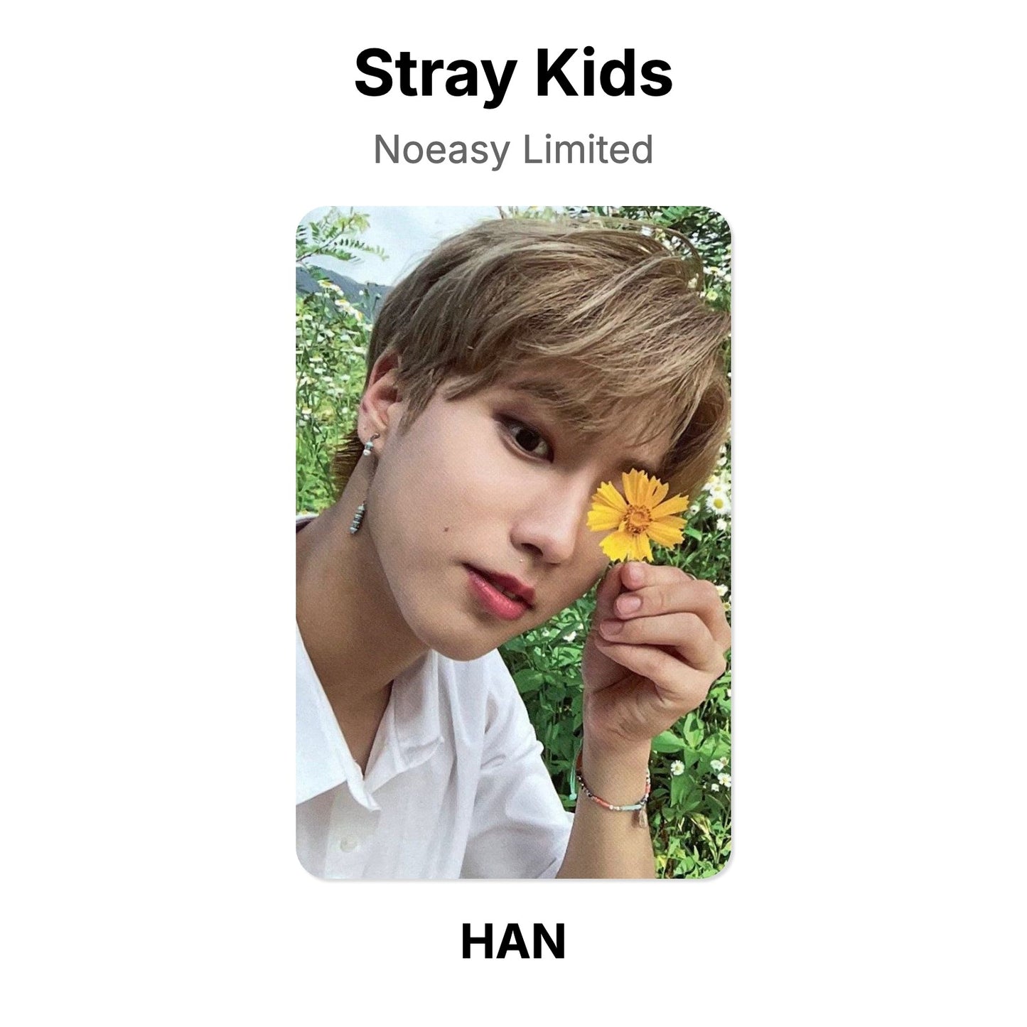 Stray Kids Noeasy Limited photocard ufficiale