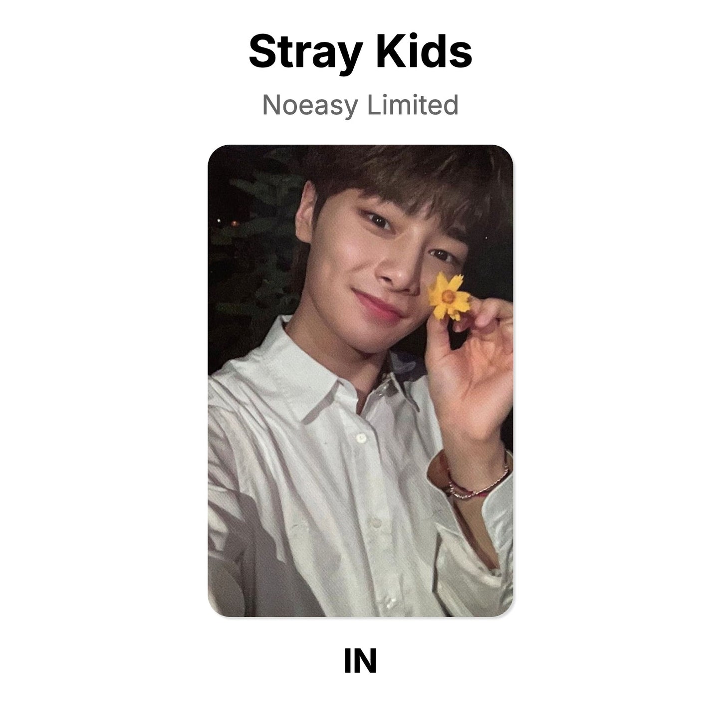 Stray Kids Noeasy Limited photocard ufficiale