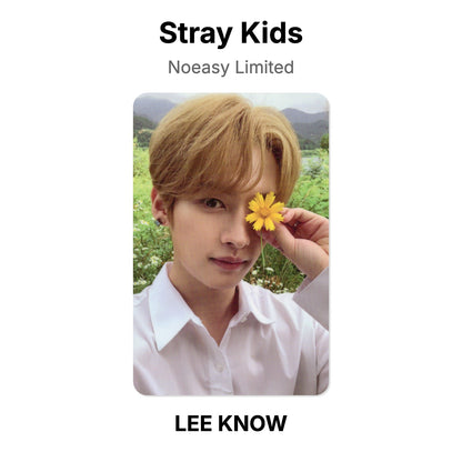 Stray Kids Noeasy Limited photocard ufficiale