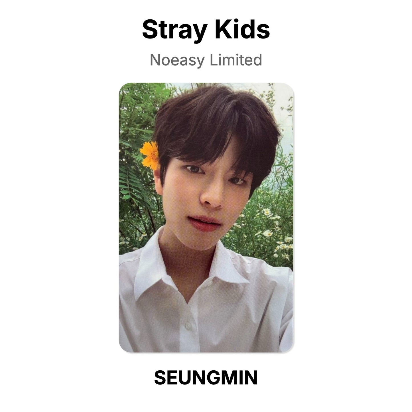 Stray Kids Noeasy Limited photocard ufficiale