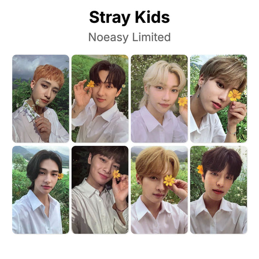 Stray Kids Noeasy Limited photocard chính hãng