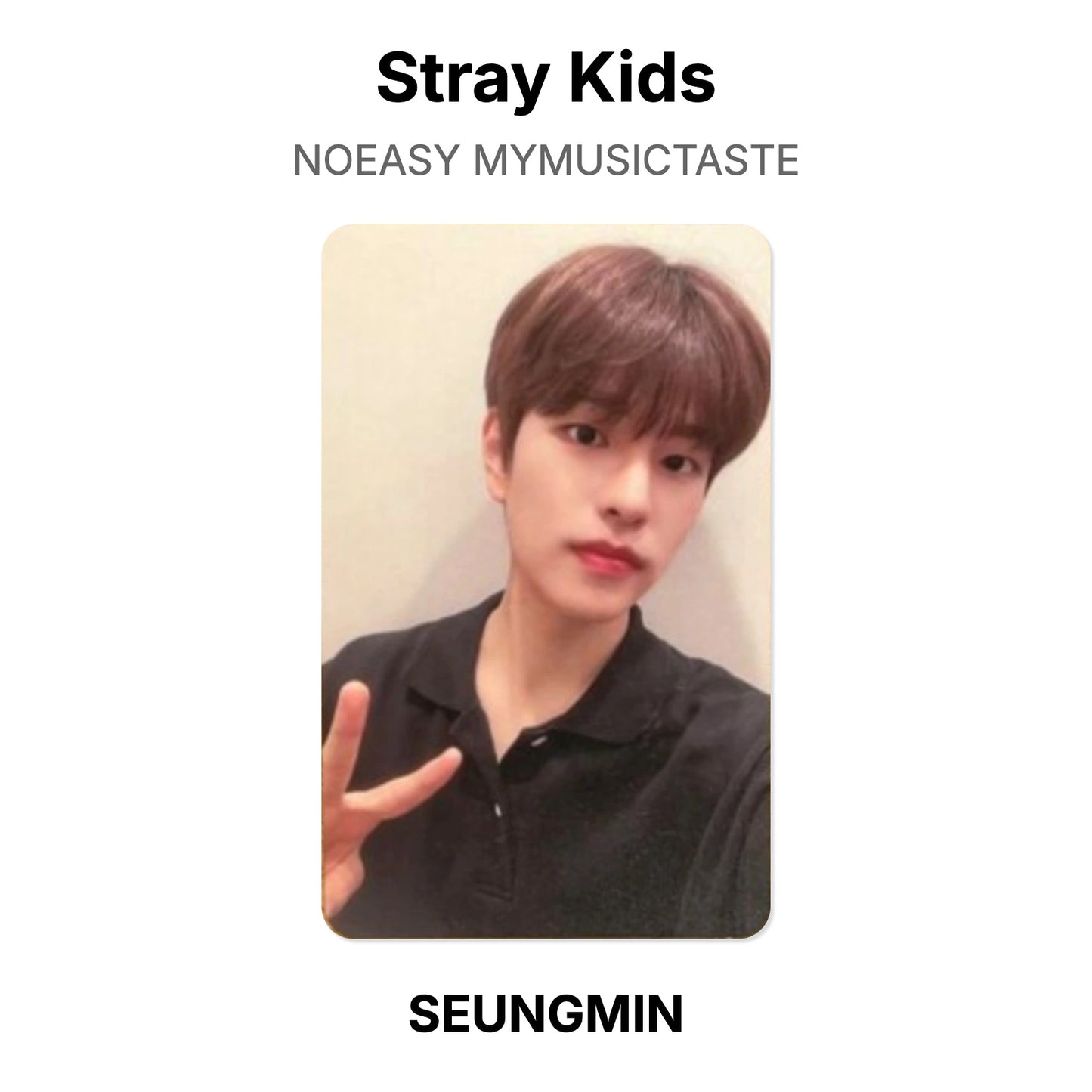 Stray Kids NOEASY MYMUSICTASTE photocard oficial