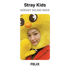 FELIX