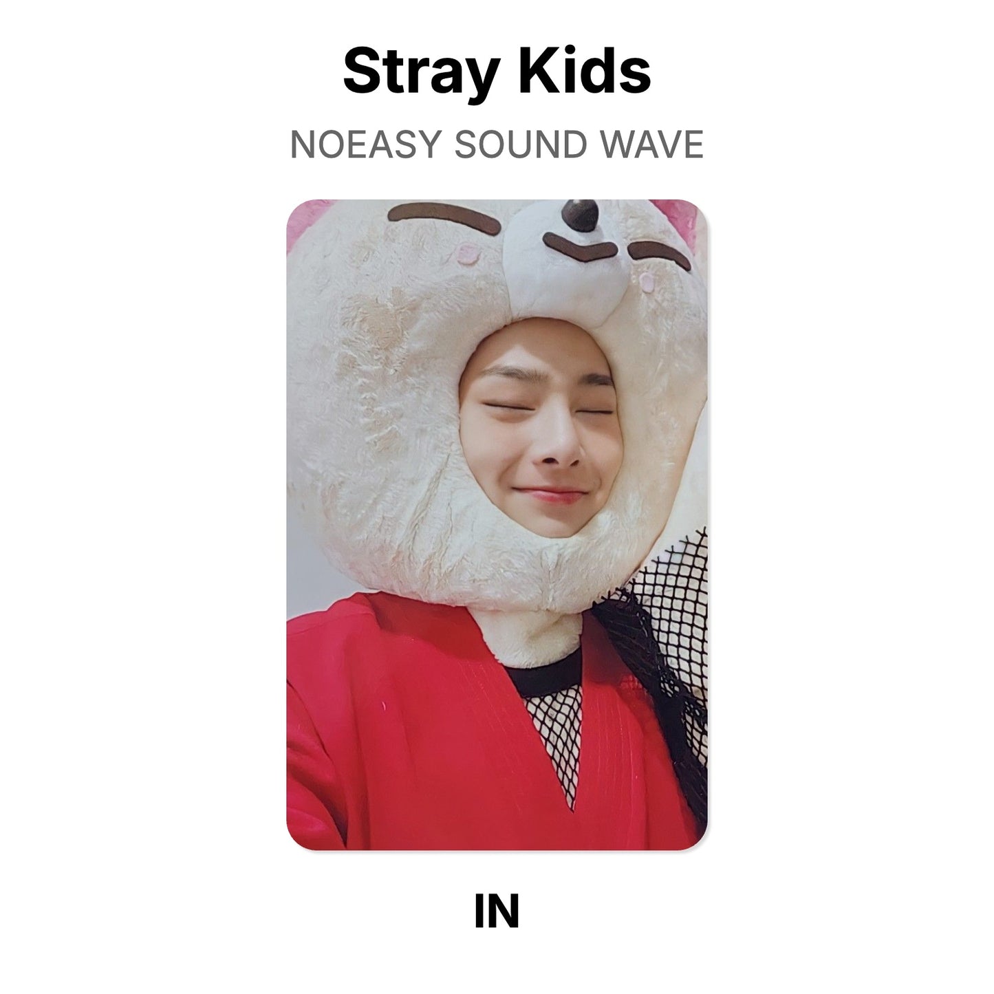 Stray Kids NOEASY SOUND WAVE 公式フォトカード