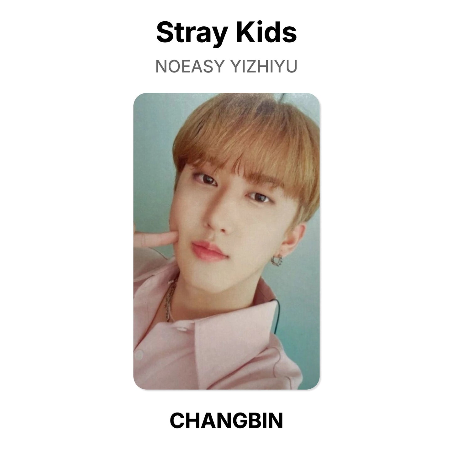 Stray Kids NOEASY YIZHIYU Official Photocard