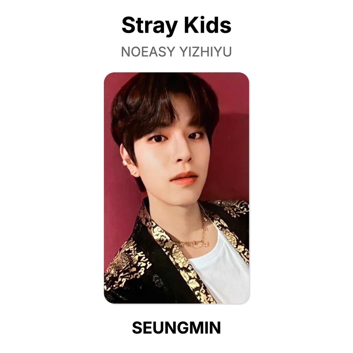 Stray Kids NOEASY YIZHIYU Official Photocard