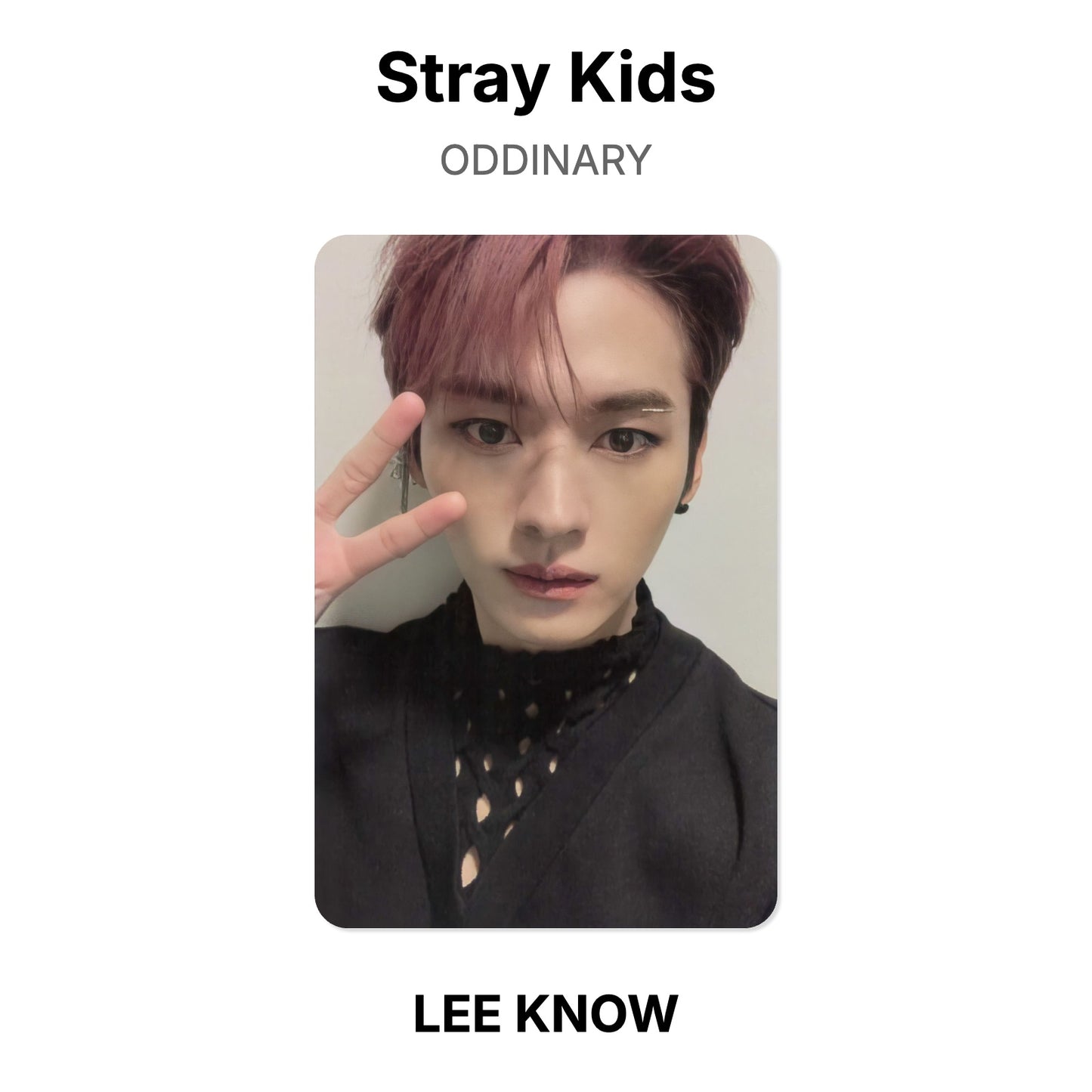Stray Kids ODDINARY photocard oficial