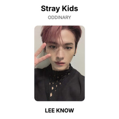 LEE SABE