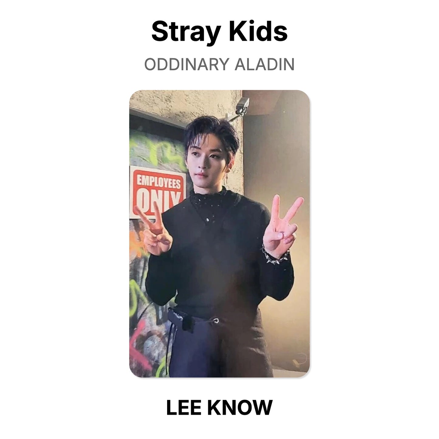 Stray Kids ODDINARY ALADIN photocard ufficiale