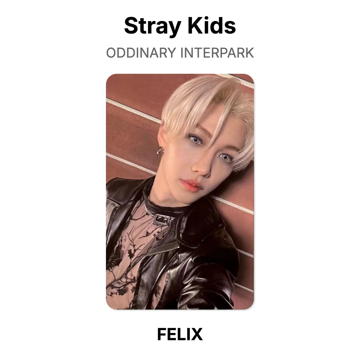 Stray Kids ODDINARY INTERPARK официальная фотокарта