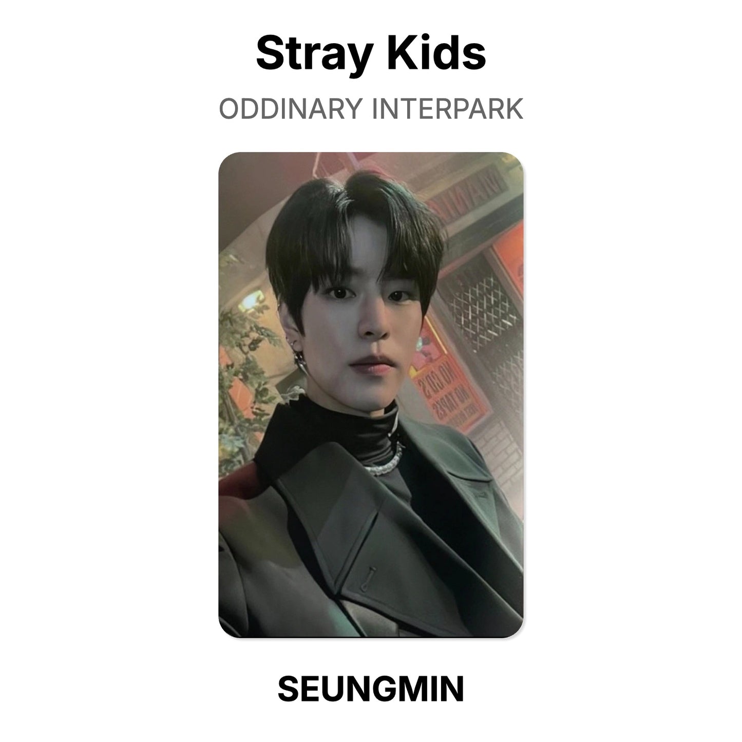 Stray Kids ODDINARY INTERPARK официальная фотокарта