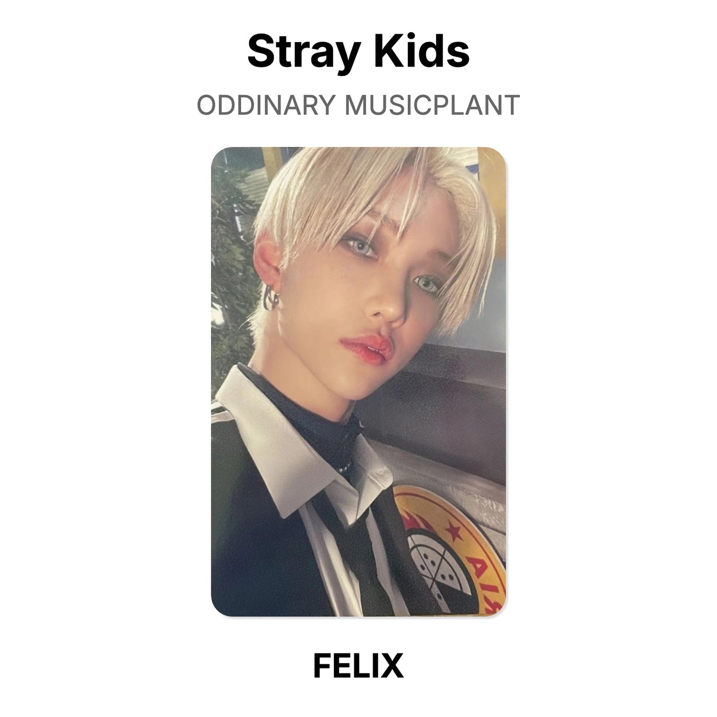 Stray Kids ODDINARY MUSICPLANT 官方小卡