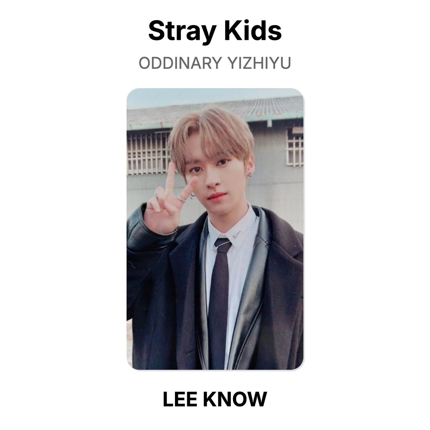 Stray Kids ODDINARY YIZHIYU Official Photocard