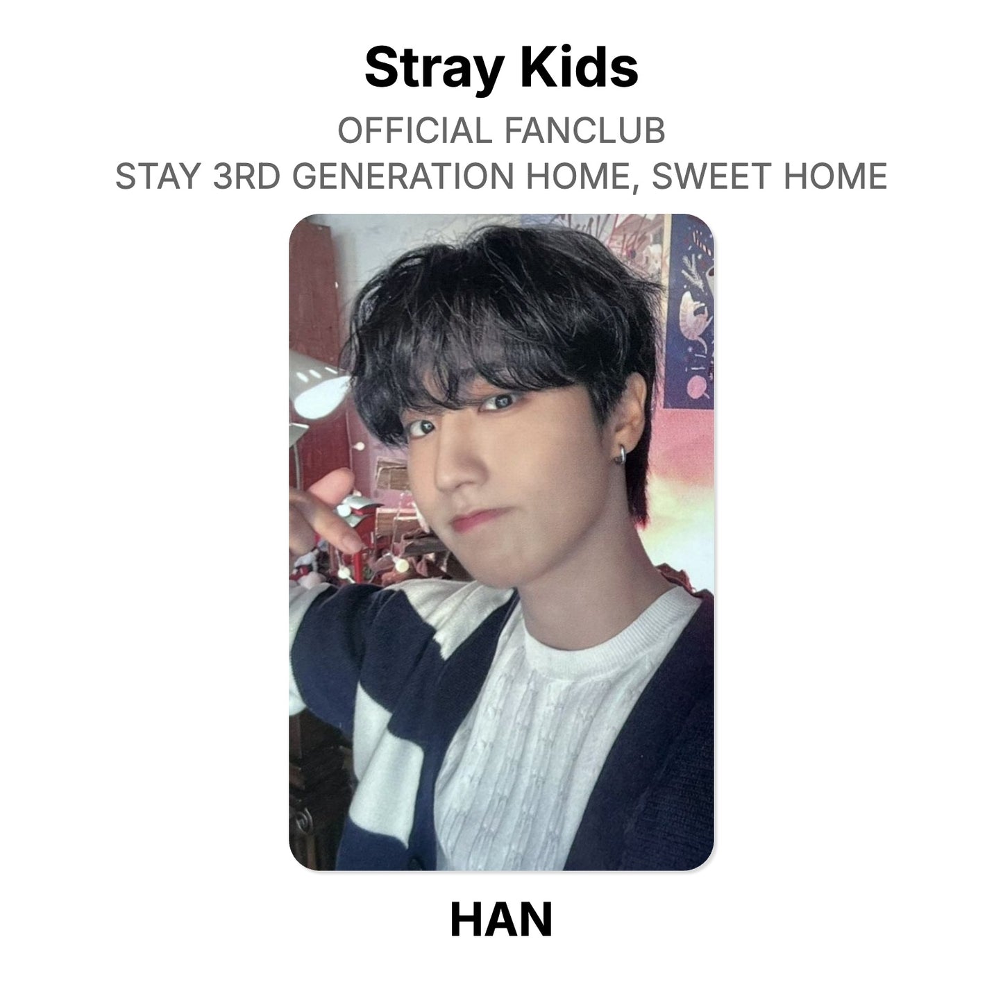 Stray Kids OFFICIAL FANCLUB STAY 3RD GENERATION HOME, SWEET HOME photocard oficial
