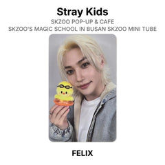 FELIX