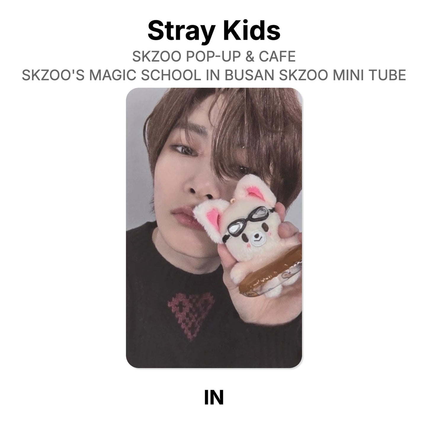 Stray Kids SKZOO POP-UP & CAFE SKZOO'S MAGIC SCHOOL IN BUSAN SKZOO MINI TUBE 公式フォトカード