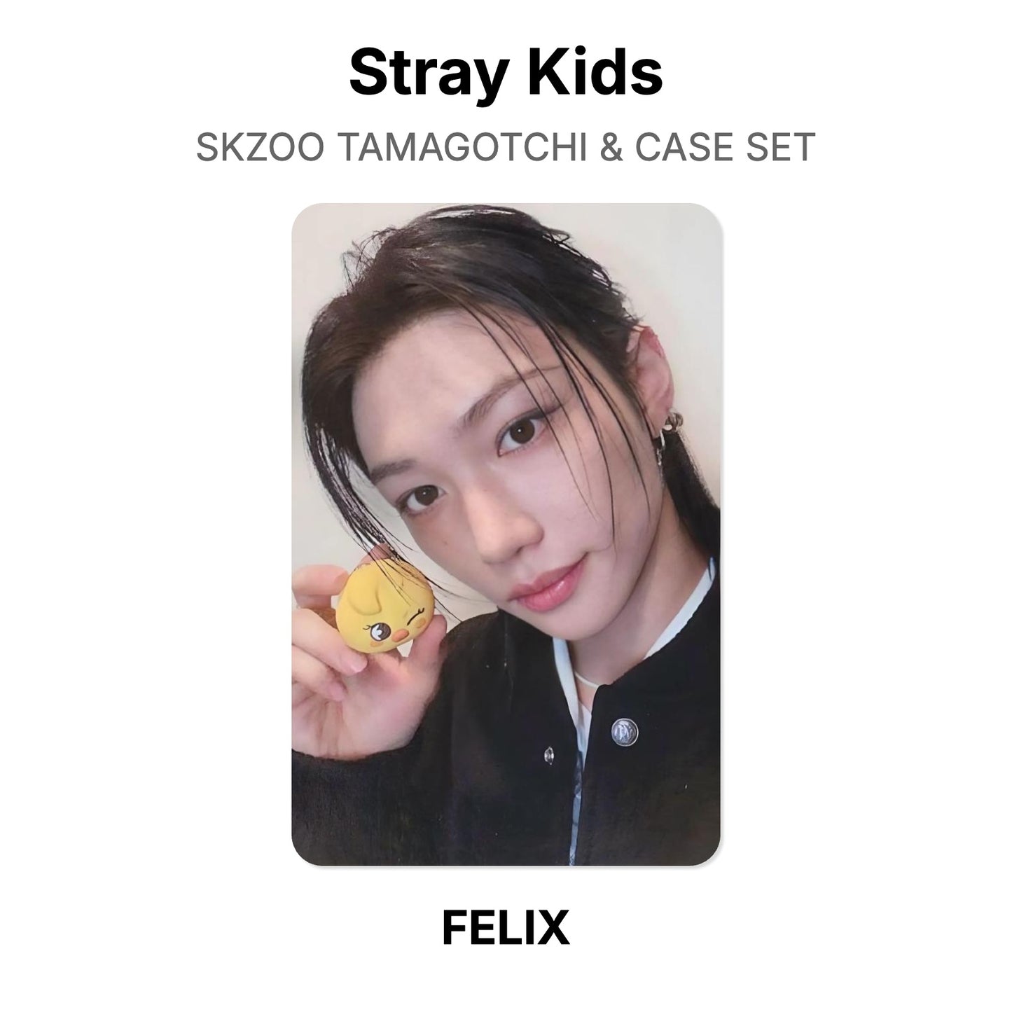Stray Kids SKZOO TAMAGOTCHI & CASE SET photocard officielle
