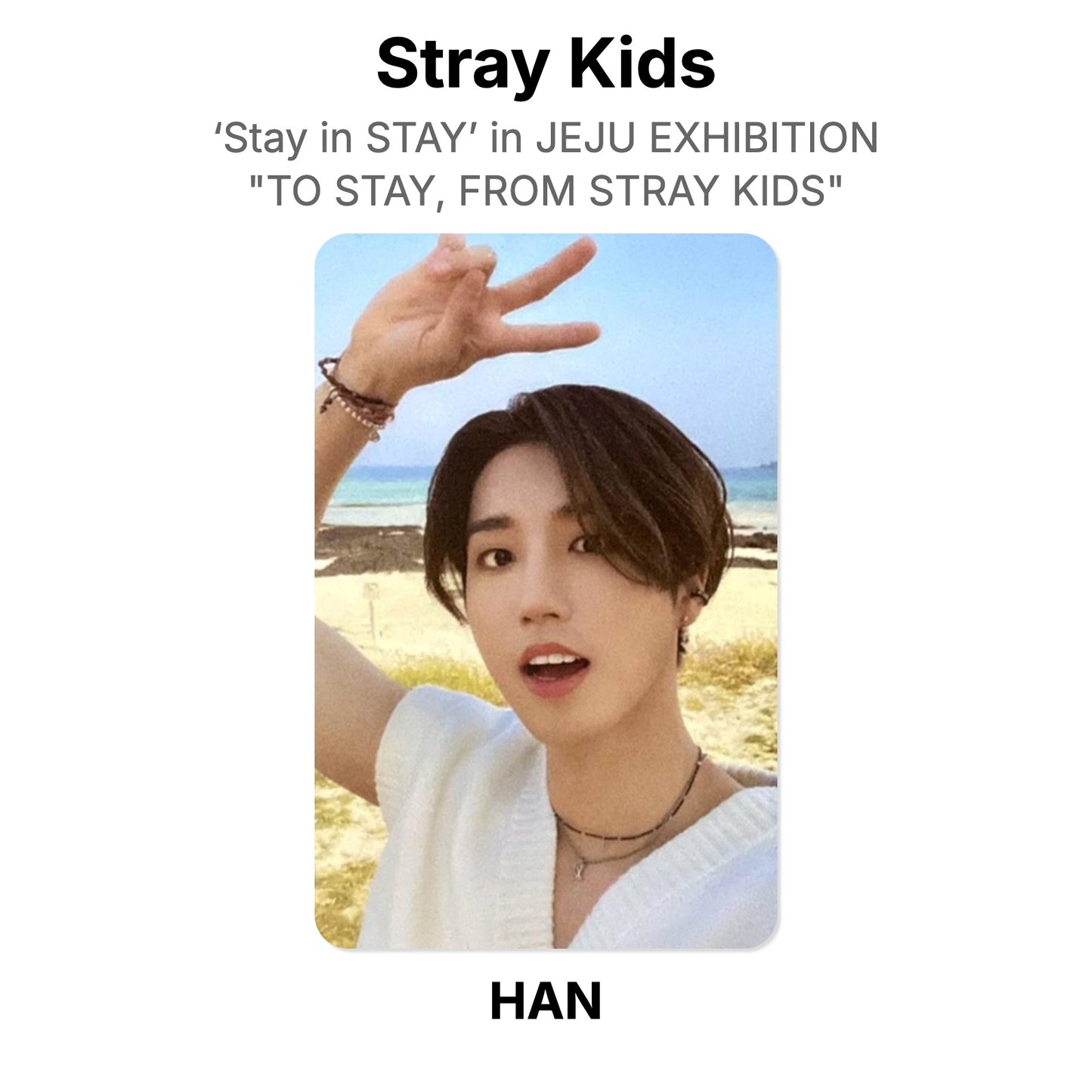 Stray Kids ‘Stay in STAY’ in JEJU EXHIBITION "TO STAY, FROM STRAY KIDS" offisiell Photocard