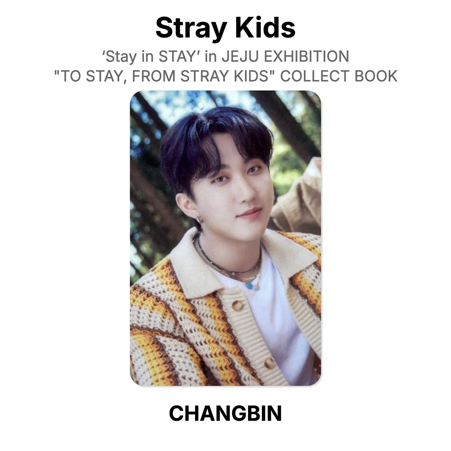 Stray Kids ‘Stay in STAY’ in JEJU EXHIBITION "TO STAY, FROM STRAY KIDS" COLLECT BOOK Official Photocard