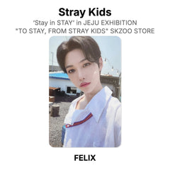 FELIX 02