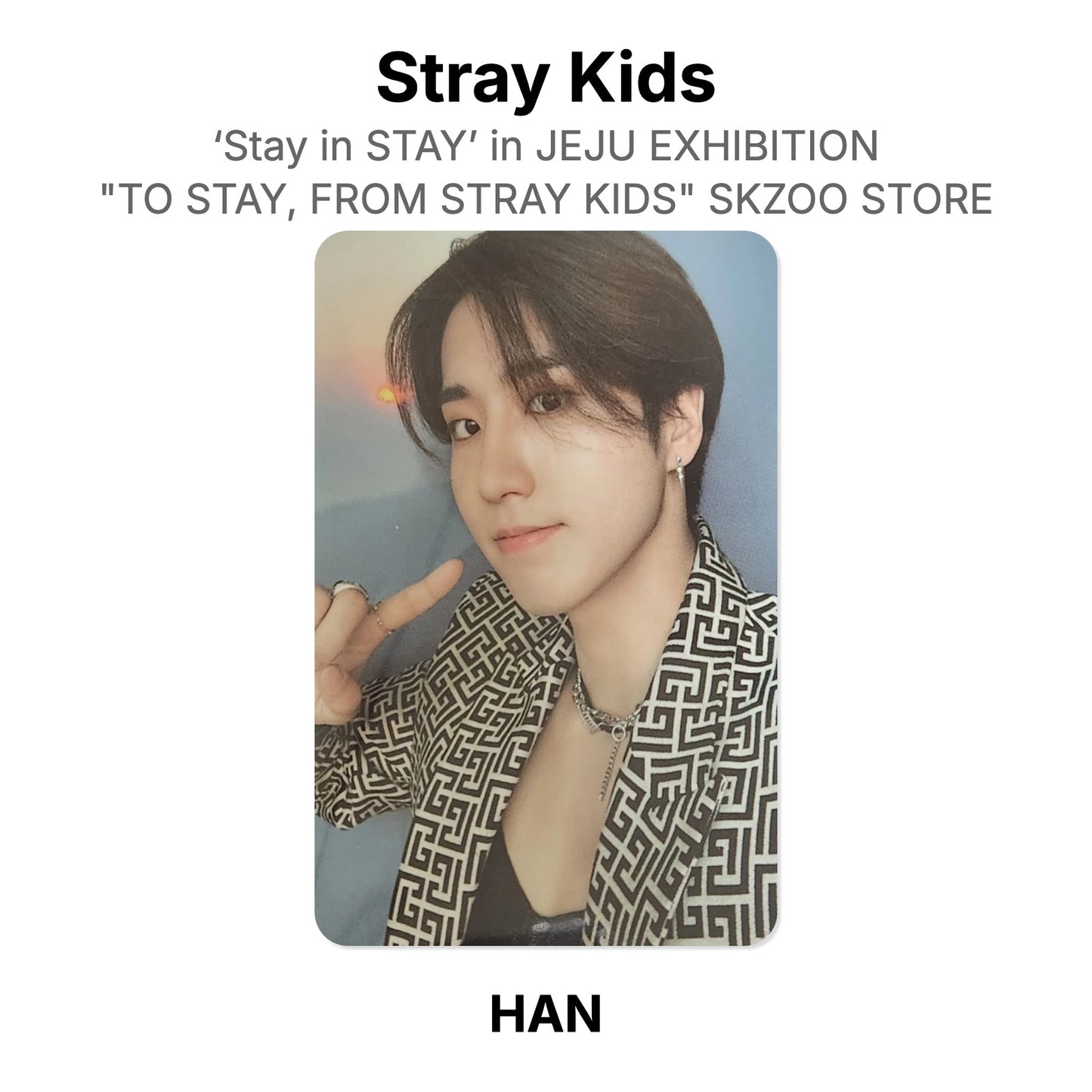 Stray Kids ‘Stay in STAY’ in JEJU EXHIBITION "TO STAY, FROM STRAY KIDS" SKZOO STORE Official Photocard