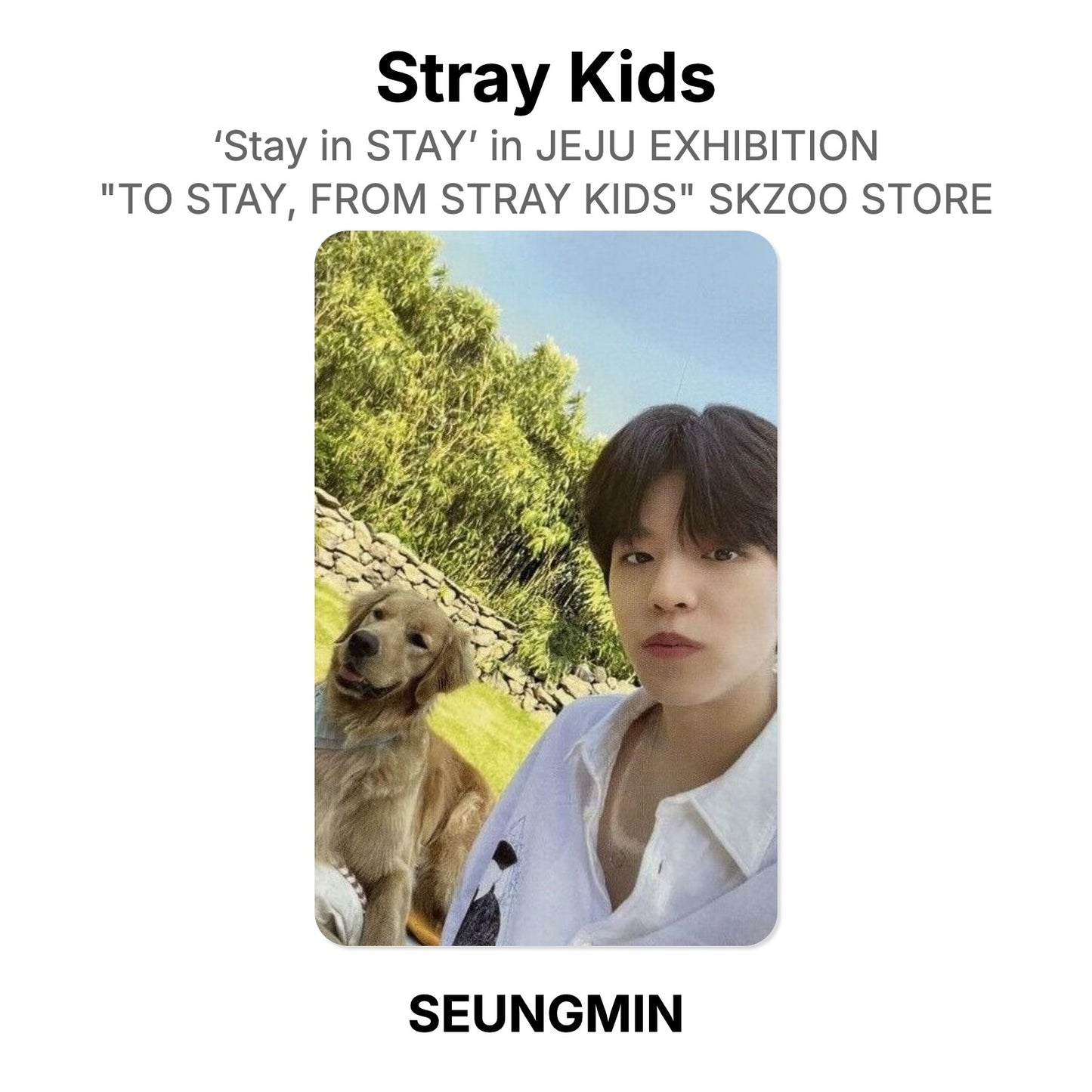 Stray Kids ‘Stay in STAY’ in JEJU EXHIBITION "TO STAY, FROM STRAY KIDS" SKZOO STORE Official Photocard
