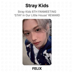 FELIX 02