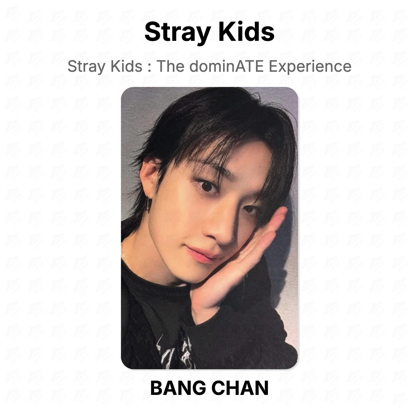 Stray Kids : The dominATE Experience Official Photocard