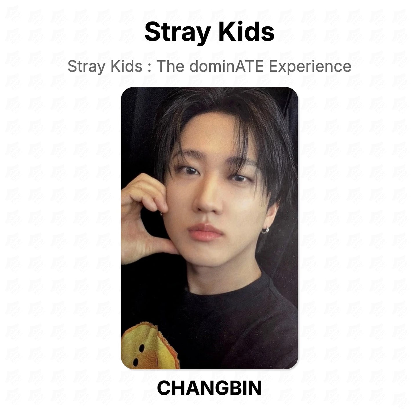 Stray Kids : The dominATE Experience Official Photocard