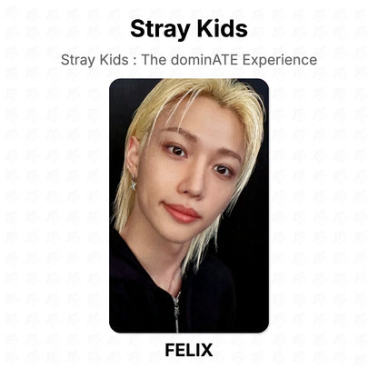 Stray Kids : The dominATE Experience Official Photocard
