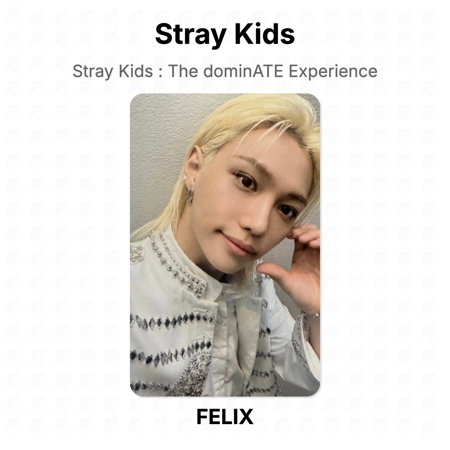Stray Kids : The dominATE Experience Official Photocard