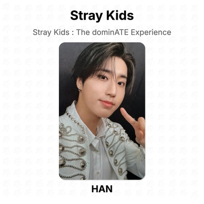 Stray Kids : The dominATE Experience Official Photocard