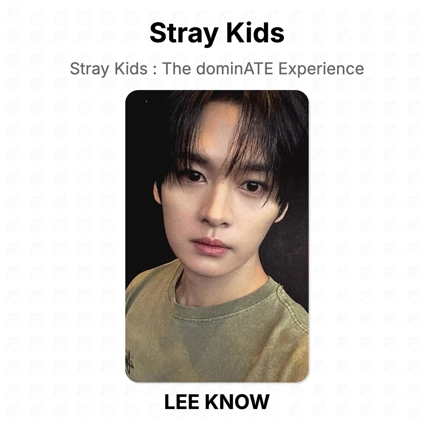 Stray Kids : The dominATE Experience Official Photocard
