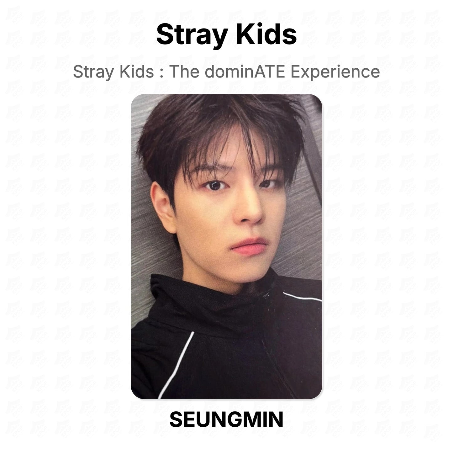 Stray Kids : The dominATE Experience Official Photocard