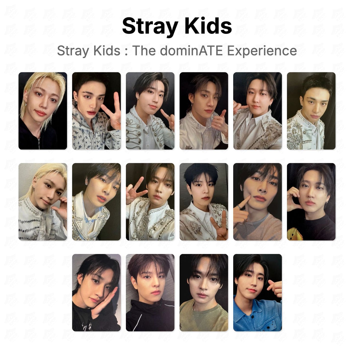 Stray Kids : The dominATE Experience Official Photocard
