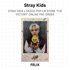 FELIX 02