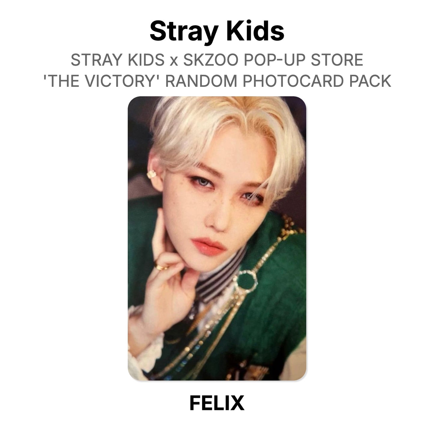Stray Kids x SKZOO POP-UP STORE 'THE VICTORY' RANDOM PHOTOCARD PACK Offizielle Photocard