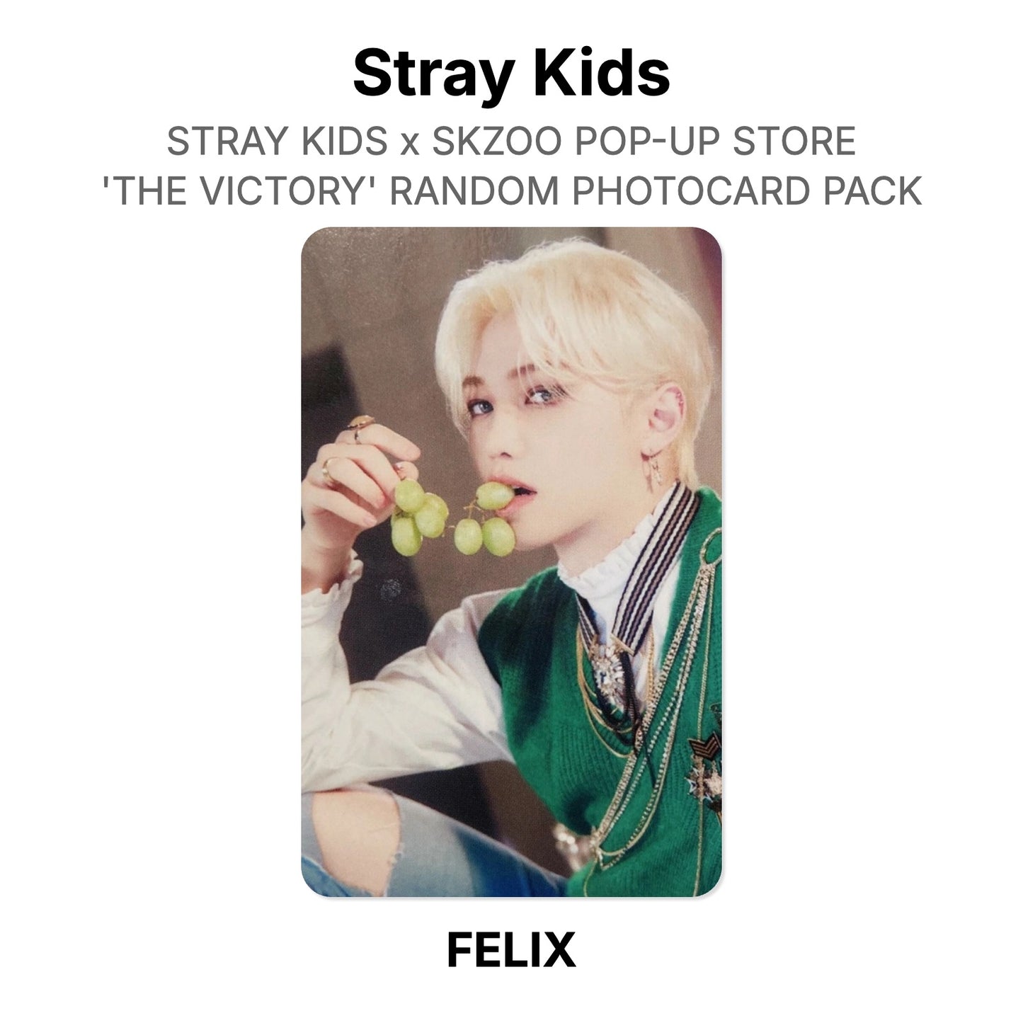 Stray Kids x SKZOO POP-UP STORE 'THE VICTORY' RANDOM PHOTOCARD PACK Offizielle Photocard